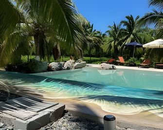 Casa Las Palmas Playa La Saladita - Zihuatanej - Piscine