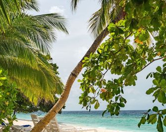 Lvis Blancura Hotel - Dharavandhoo - Beach