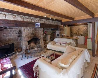 Beautiful farmhouse in mountain forest setting - Saint-Bonnet-le-Froid - Living room