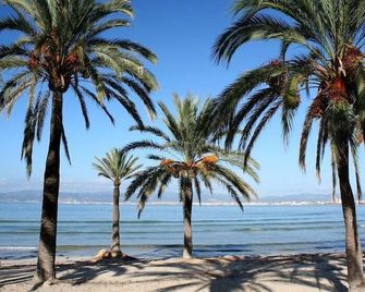 Planet Hotels One - Adults Only 16 Years - S'Arenal - Strand