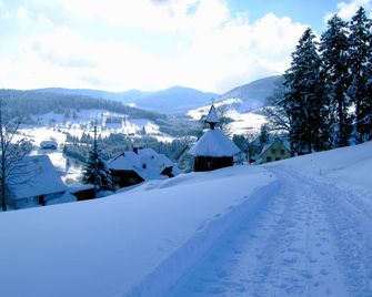 Ferienwohnung, Bernau - Bernau im Schwarzwald - Vista del exterior