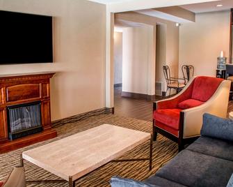 Comfort Suites - New Braunfels - New Braunfels - Olohuone
