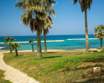 Venus Beach Hotel - Pafos - Strand