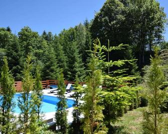 Adorable Home With Pool & Hot Tub Surrounded by Beautiful Nature - Brod Moravice - Pool