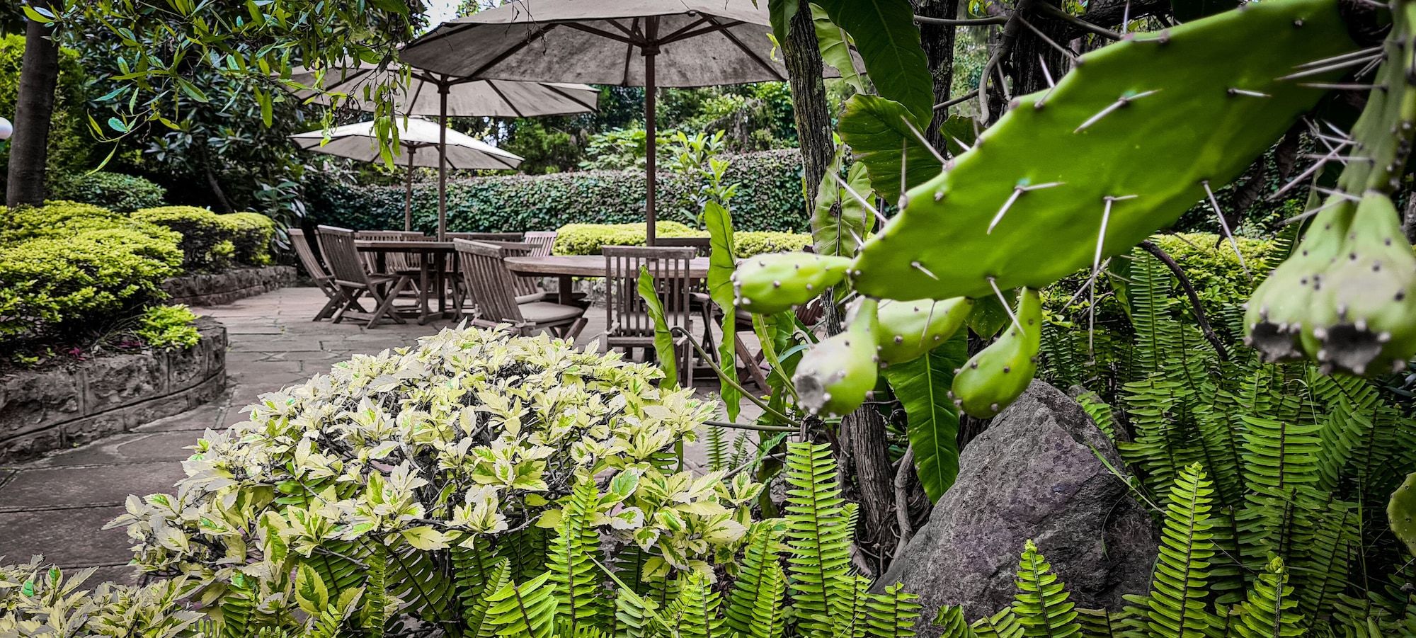 مارغريتا هاوس