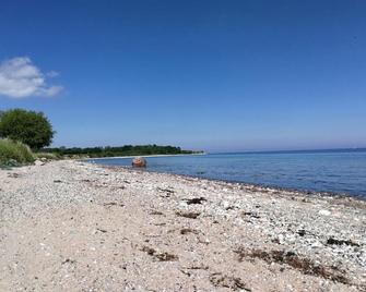 Taubennest - Waabs - Beach