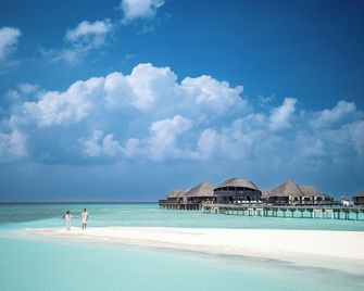 Coco Bodu Hithi - Bodu Hithi - Playa