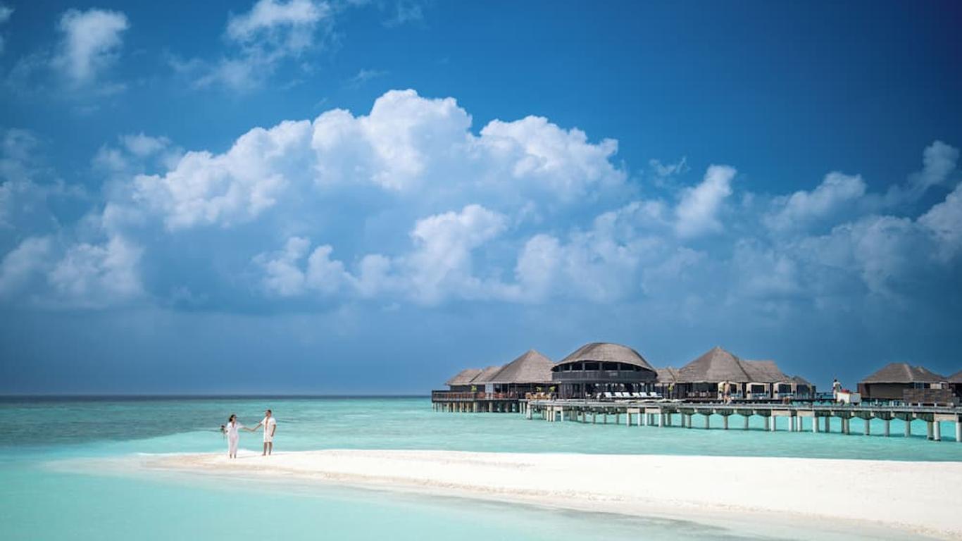 Coco Bodu Hithi
