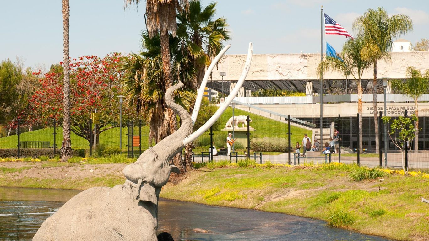 Banana Bungalow West Hollywood Hotel & Hostel