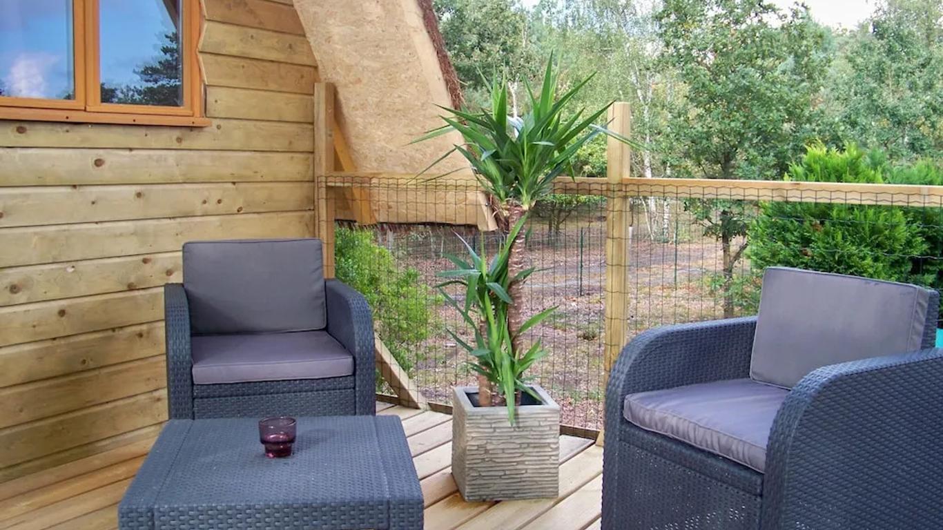 Le Nid Dans Les Bruyères