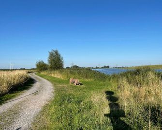Wangerbrise - Wangerland