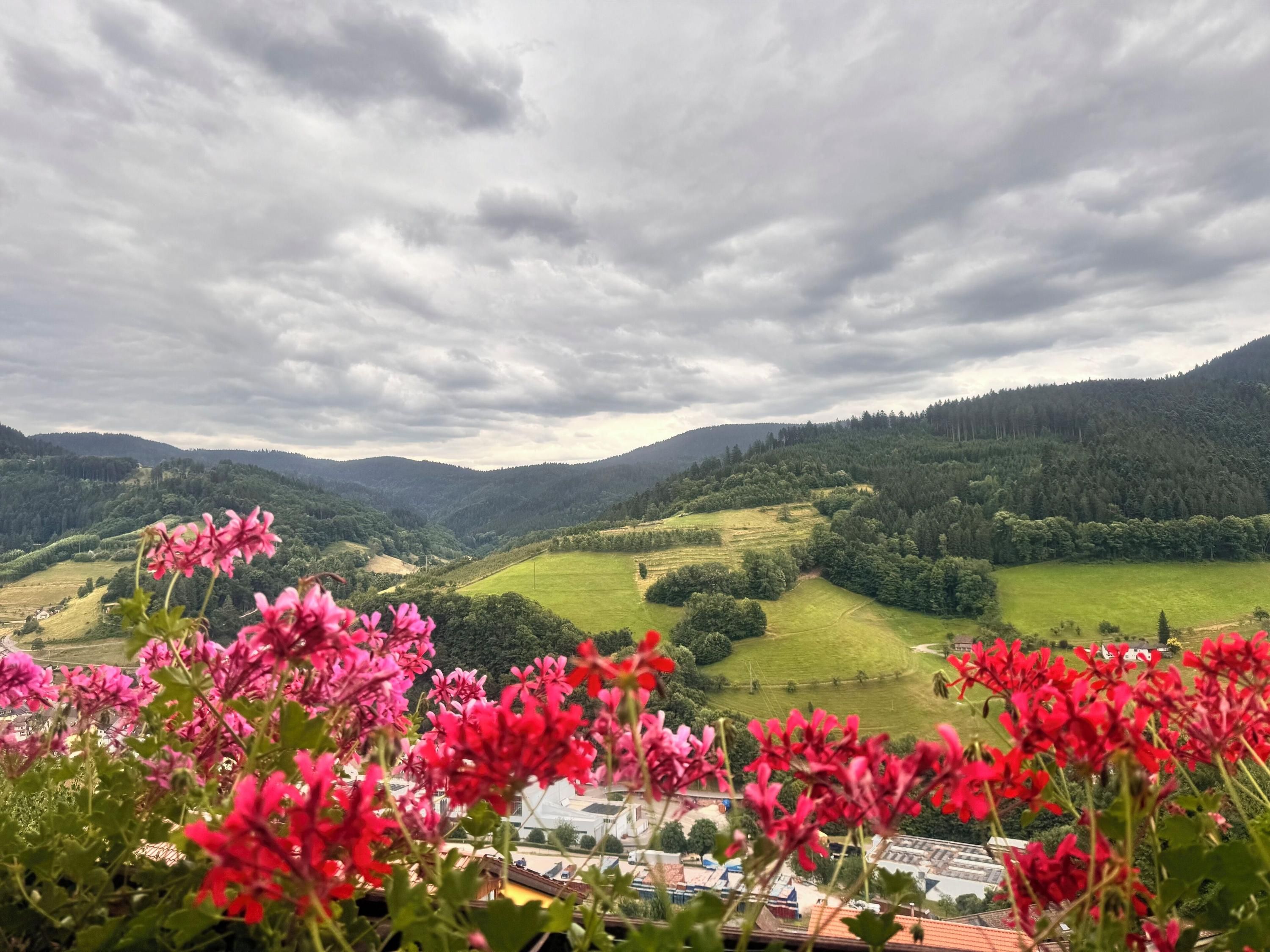 Hotel Schauinsland - Bad Peterstal-Griesbach - Outdoor view