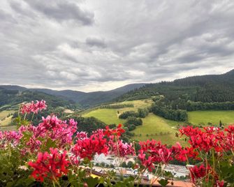 Hotel Schauinsland - Bad Peterstal-Griesbach - Vista esterna