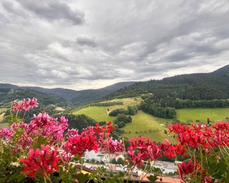 Hotel Schauinsland - Bad Peterstal-Griesbach - Outdoor view