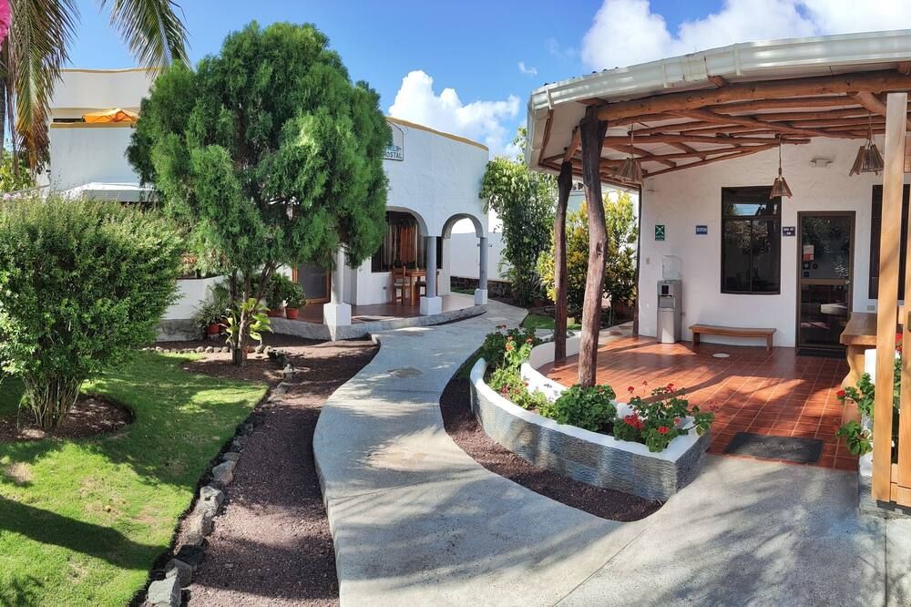 هوستال سوينوس سيلفيستريس