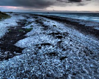 Wild encounter of sky, land and sea. All north, west. - Fehmarn - Strand