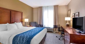 Comfort Inn and Suites Lynchburg Airport - University Area - Lynchburg - Bedroom