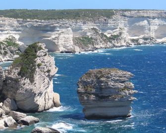 Contemporary high-end yurt - Bonifacio