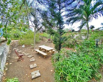 Sugar Apple Bed and Breakfast - Christiansted - Patio