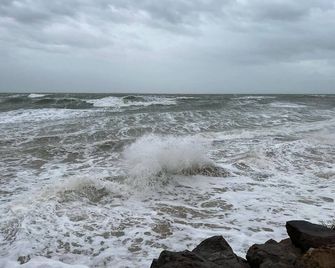 Au Petit Bonheur - La Tranche-sur-Mer