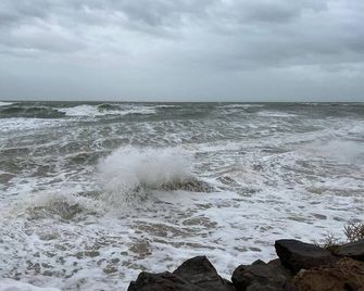 Au Petit Bonheur - La Tranche-sur-Mer