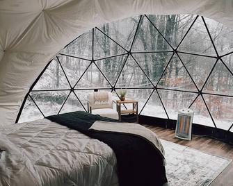 Glamping Dome #4 in Snowshoe, Wv - Snowshoe - Bedroom