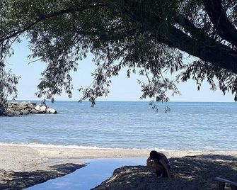 Willow Grove Lake House with Private Beach Access - Huron - Strand