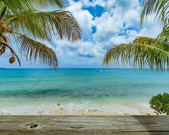 Beachfront Home with Large Deck. Walk to Restaurants. Near Downtown. - Frederiksted - Plaża