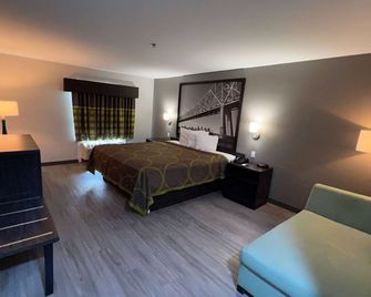 Super 8 by Wyndham Lake Charles/Sulphur - לייק צ'ארלס - חדר שינה