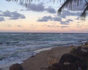 Relaxed Oceanfront home on quiet palm fringed Beach with large Oceanfront patio - Hatillo - Playa