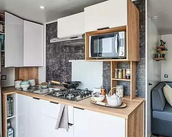 Flower de l'Olivigne campsite - 4-room Premium Plus mobile home for 6 people with air conditioning - Bize Minervois - Kitchen