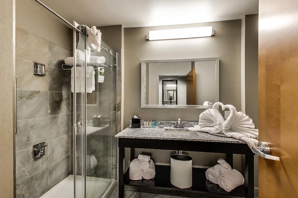 Radisson Hotel Edmonton Airport - Leduc - Bad