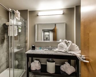 Radisson Hotel Edmonton Airport - Leduc - Bad