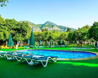 Castle Park Hotel - Antalya - Pool