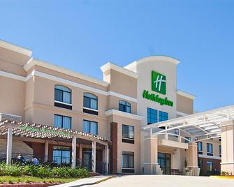 Holiday Inn Vicksburg - Vicksburg - Bygning