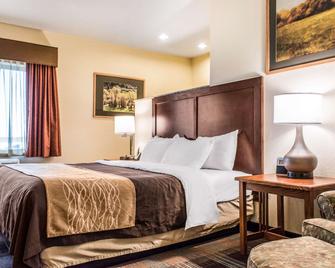 Comfort Inn & Suites Sheridan - Sheridan - Habitación