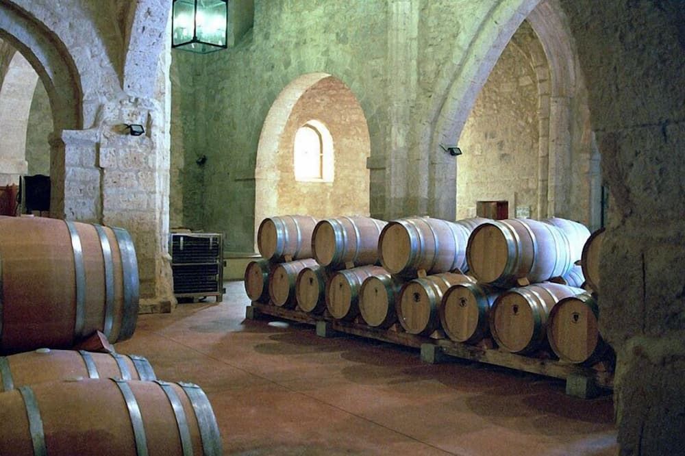 Residencia Real del Castillo de Curiel - Curiel de Duero