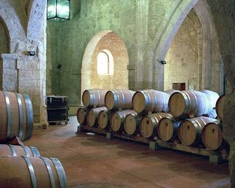 Residencia Real del Castillo de Curiel - Curiel de Duero