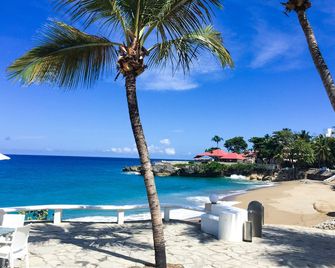 Casa Marina Beach & Reef - Sosúa - Beach