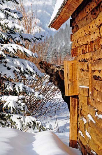 رينبو رانش لودج - بيغ سكي - مبنى