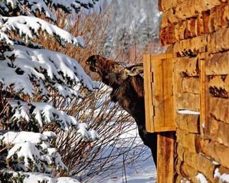 رينبو رانش لودج - بيغ سكي - مبنى