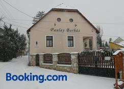 Paulay Borhaz Es Vendeghaz - Tokaj - Bâtiment