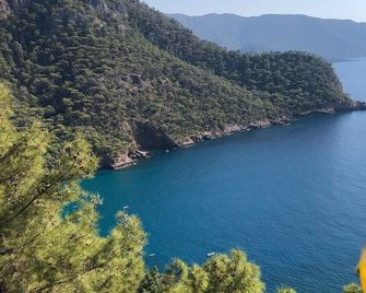 Kabak Ütopya Kamp - Kabak