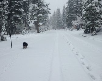 Fun and Relaxing in Tahoe City! - Tahoe City - Property amenity