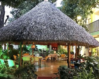 Hostal Casa Huasteca - Ciudad Valles - Pátio
