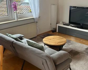 Main Nest Apartment - Lohr am Main - Living room