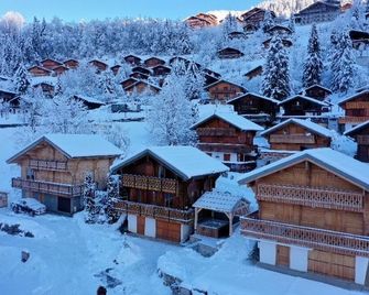 Chalet individuel 8 pers à Chatel Porte du soleil avec Jacuzzi exterieur - Châtel - Bâtiment