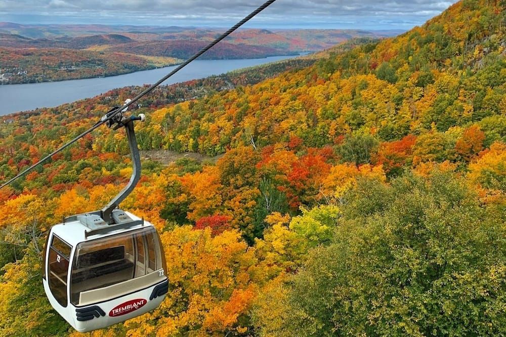 Auberge Le Lupin-Self Check-in - Mont-Tremblant
