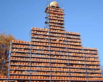 Chicken Farmer I Still Love You. - Newbury - Edificio