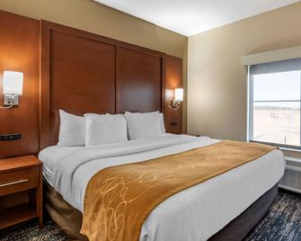 Comfort Suites West Memphis I-40 I-55 - West Memphis - Bedroom